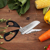 5-in-1 Professional Kitchen Shears