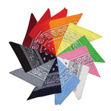 12 Pack of Assorted Bandanas