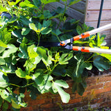 Telescopic Extendable Garden Hedge Hand Pruning Shears with Iron Body- Click Extendable 79cm(31.10") to 111cm(43.70") Garden Pruner - Anvil Razor Blades for Cutting Thick Branches - Gardening Loppers