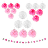 Paper Pompom and Circle Bunting Banner Party Decoration Set